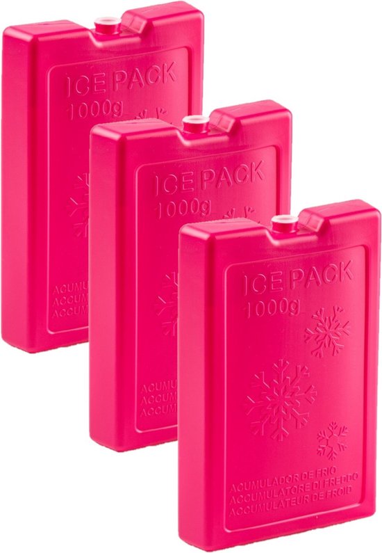 Plasticforte Koelelementen van 1000 gram - 6x stuks - roze - 22 x 14.5 x 3.5 cm - voor koeltas en koelbox van Merkloos