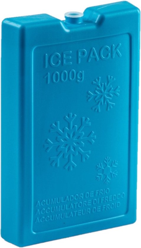 Plasticforte Koelelementen van 1000 gram - blauw - 22 x 14.5 x 3.5 cm - voor koeltas en koelbox van Merkloos