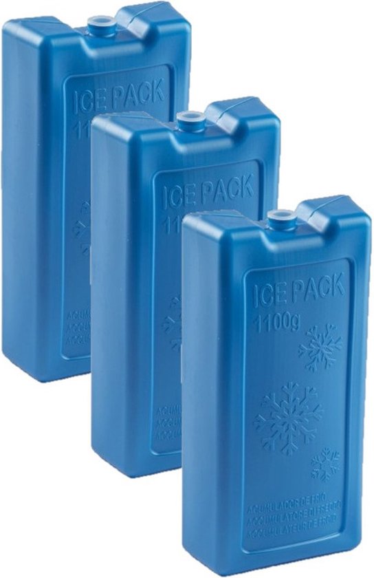 PlasticForte Koelementen - 6x stuks - 1,1 kg - 22 x 11 x 5 cm - extra groot van PlasticForte