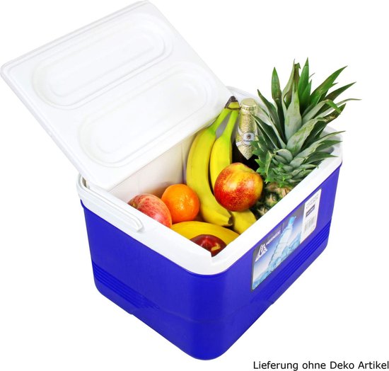 Polarcooler Koelbox 14 Liter - Blauw wit - Handvat - Coolbox - IJsbox Camping - Thermobox van Merkloos