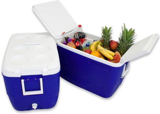 Polarcooler Koelbox 60 Liter - Blauw wit - Handvaten -Coolbox - IJsbox Camping - Thermobox van Pol