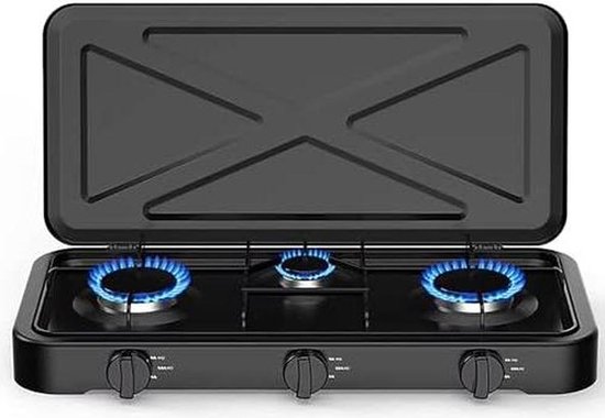 Propaangasfornuis - Draagbaar gasfornuis - Buiten koken - Automatische ontsteking - 577 x 278 mm - Roestvrij staal