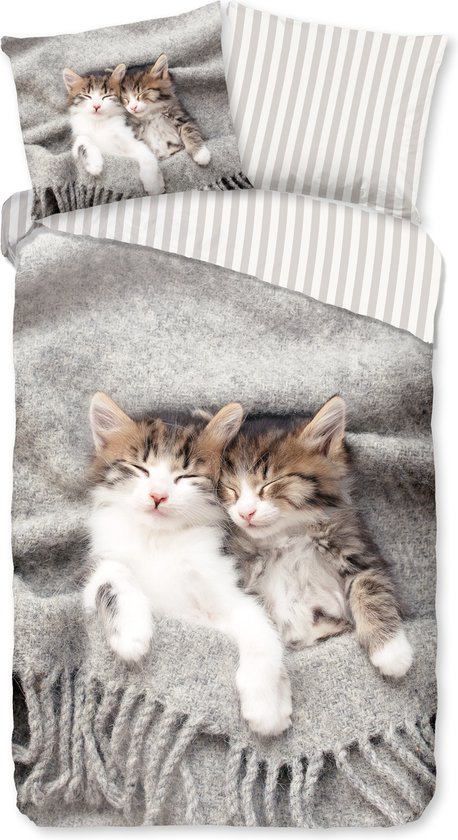Pure Kinderdekbedovertrek "kitten poezen" - Grijs - (140x200/220 cm) - Microfiber van Pure