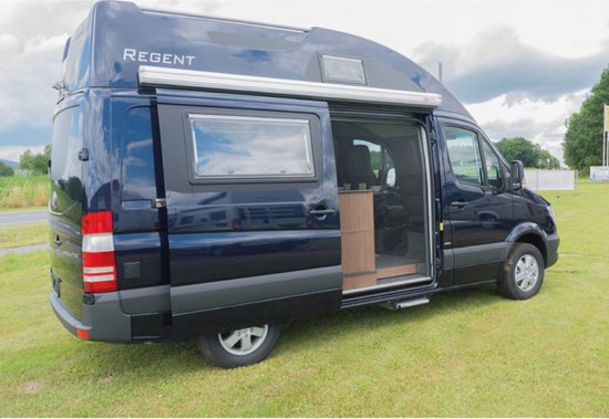 Remis REMIcare Deur insectenhor Mercedes Sprinter / VW Crafter My. 2006-2016 Hoge deur
