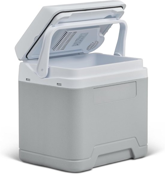 REN® Koelbox Elektrisch 12v 230 Volt - Koelbox - Koelbox Elektrisch - Grijs - 45cm x 28cm x 32cm van Merkloos