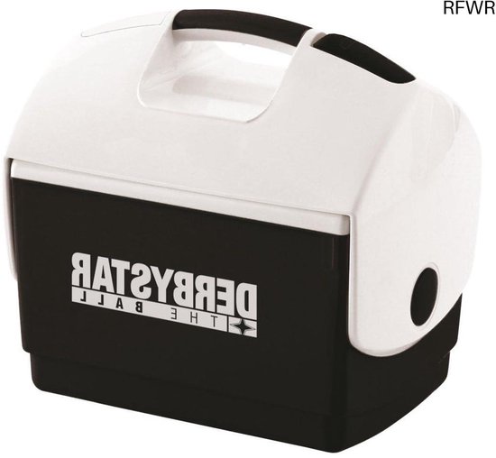RFWR® Koelbox 10 Liter - Perfect voor Dranken en Koelkompressen