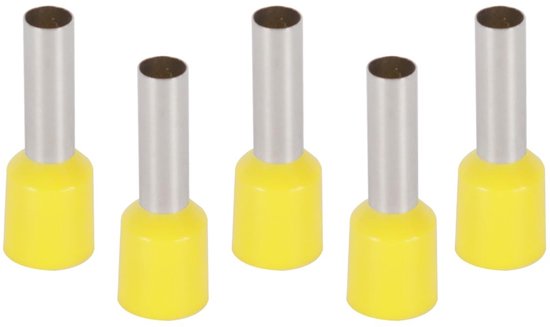 Set van 100 Geïsoleerde Ferrules 6 mm² x 12 mm voor Garages, Aansluitdozen en Werkplaatsen