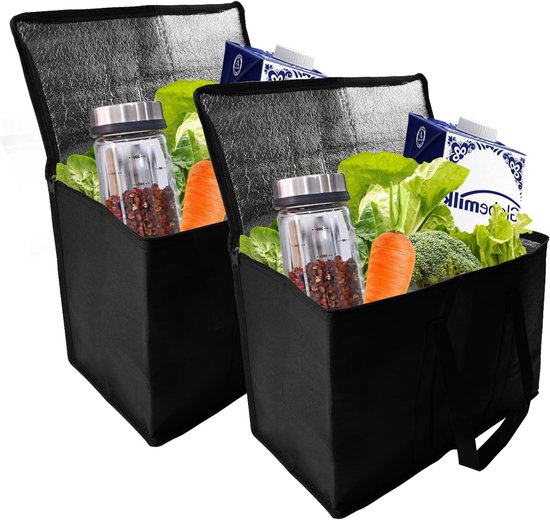 Set van 2 Vouwbare Koeltassen met Stevige Handvatten, Grote Thermische Tassen voor Picknick en Buitenshuis Gebruik van Merkloos