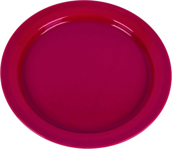 Set van 24 cm Platte Borden van Duurzaam Kunststof - Ideaal voor Buiten en Camping