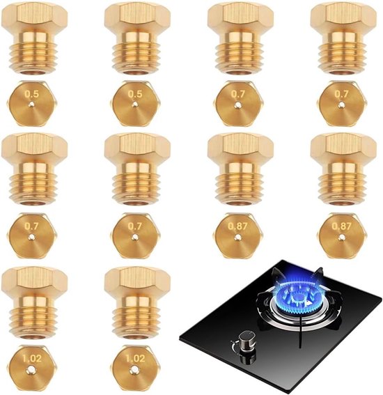 SnelShoppen - 10 Stuks Universele Butaan Gas Spuiter Conversie Kit - Gas Injector Spuiter Fles voor Gasfornuis Propaan Gasbrander LPG Spuiter 0.5mm*2,