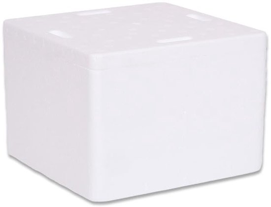 Thermobox met Deksel - Piepschuim Box - Voedsel Transport - Lichtgewicht Isolatie - 19.6x19.6x12.5 cm - Wit