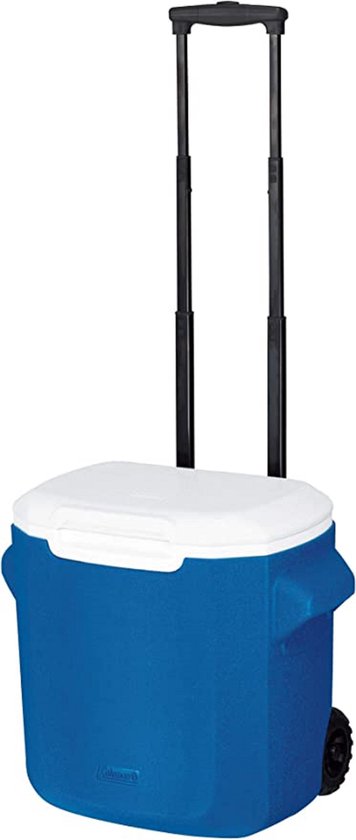thermobox \met handgreep, koelcapaciteit / Cooler box, 16L van T