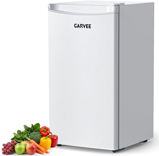 Triumpunpre Mini Koelkast 45L Wit - Stille Drankkoelkast met 5 Standen Koeling 0-18°C - Energieklasse E - 41dB Fluisterstil - Omkeerbare Deur - Verstelbare Voet - Kleine Minibar voor Kantoor, Slaapkamer of StudentenKamer