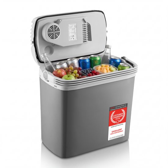 TZS First Austria Elektrische Koelbox - 16L - 12V en 230 voltx - Frigobox -Koelen en Verwarmen - Grijs van Merkloos