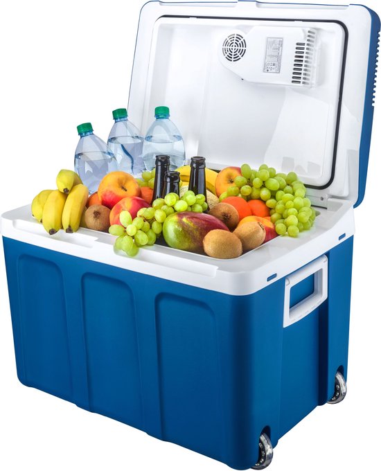 TZS First Austria Thermo-Elektrische Koelbox 12V en 230 volt - 45L - Frigobox - Blauw van TZS First Austria