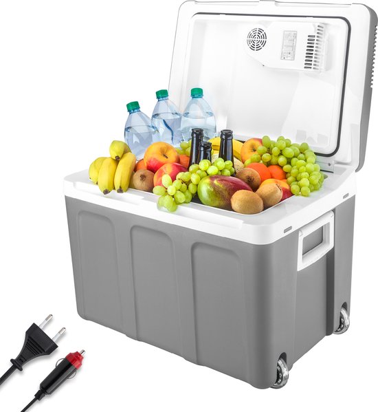 TZS First Austria Thermo-Elektrische Koelbox 12V en 230 volt - 45L - Frigobox - Grijs van TZS First Austria