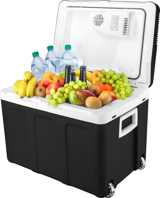 TZS First Austria Thermo-Elektrische Koelbox 12V en 230 volt - 45L - Frigobox - Zwart van TZS First Austria