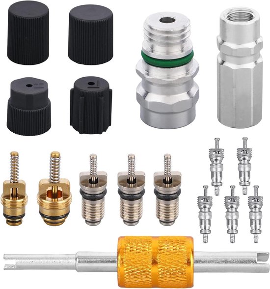 Ventielkern Set - Reparatieset Auto - Airco Onderhoud - Lekpreventie - 17 Delig - Zwart Zilver