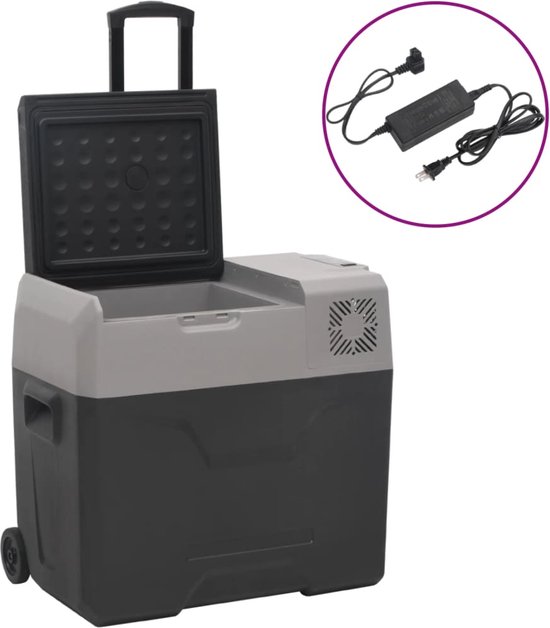 vidaXL - Koelbox - met - wielen - en - adapter - 40 - L - polypropeen - zwart - en - grijs van vidaXL
