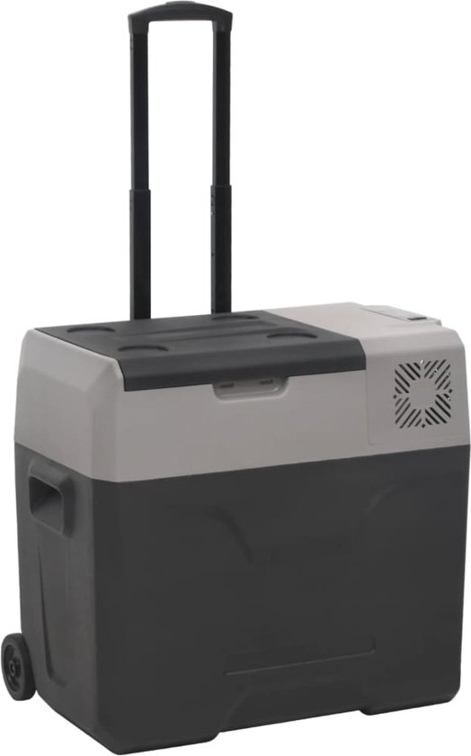 vidaXL - Koelbox - met - wielen - en - handvat - 40 - L - polypropeen - zwart - en - grijs van vidaXL