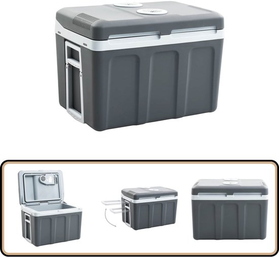 vidaXL - Koelbox - thermo-elektrisch - draagbaar - 12 - V - 230 - V - E - 40 - L van Vidaxl