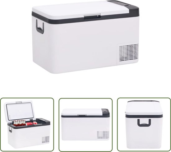 vidaXL Koelzak - Koelbox - Koelbox met handvat 25 L PP & PE zwart en wit - Campingaccessoires - Piknikmand - Autokoeler van Merkloos