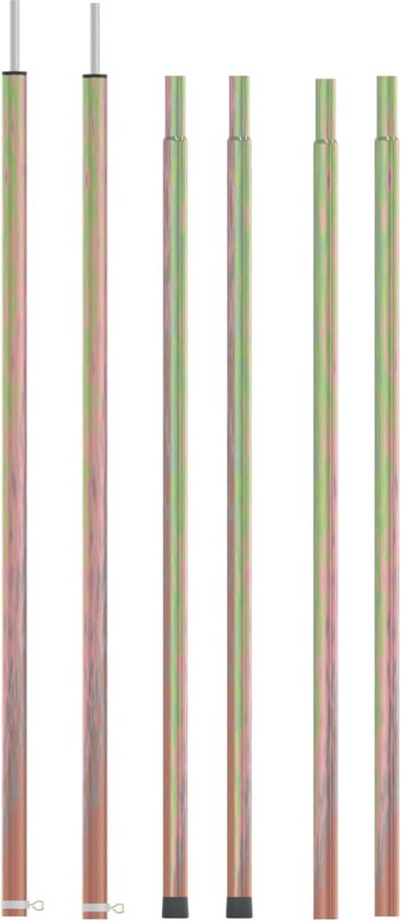 vidaXL - Tentstokken - 2 - st - telescopisch - 170-255 - cm - gegalvaniseerd - staal van vidaXL