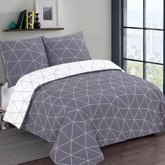 VISION Hugo Flanel - Tweezijdig omkeerbaar Dekbedovertrekset - 100% katoen flanel: warm en zacht - Lits-jumeaux - Dekbedovertrek 240 x 220 cm met 2 bijhorende slopen - Grijs / Wit - Oekotex gecertificeerd van VISION