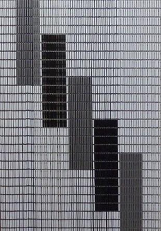 Vliegengordijnenexpert Hulzen - Vliegengordijn - 90x210 cm - Wit, Zilver En Zwarte Blokken