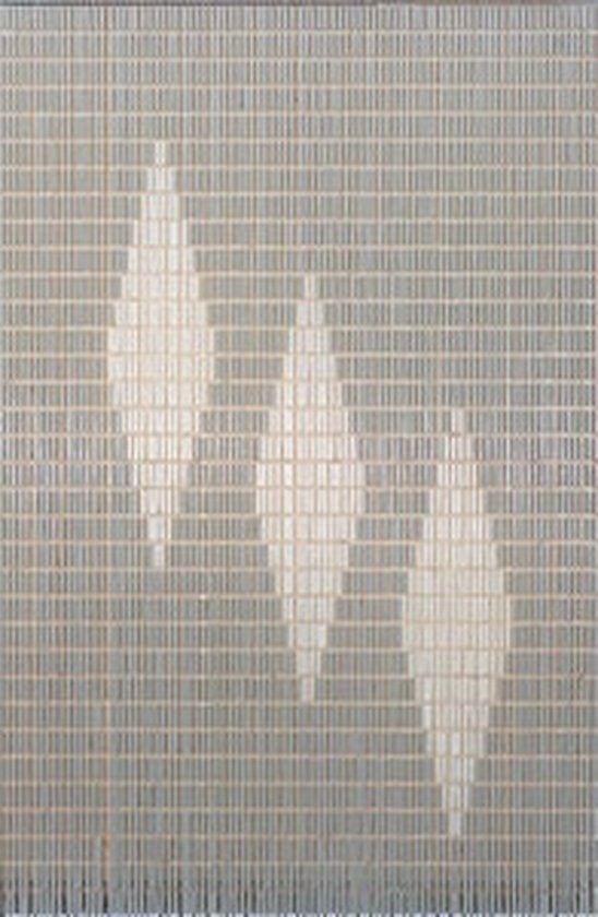Vliegengordijnexpert Vliegengordijn 3 punten Hulzen - 90x210 cm -zilver metalic , transparant