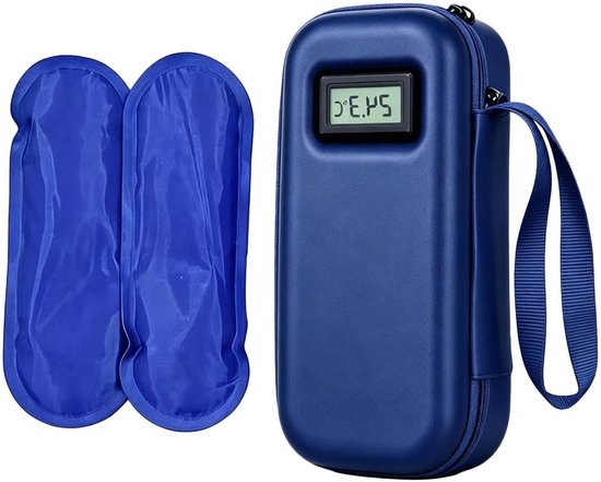 voor reizen, met temperatuurweergave en waterdichte opbergtas, kleine geïsoleerde koeltas met 2 koelaccu's, voor outdoor, camping, picknick, auto, werk en de
