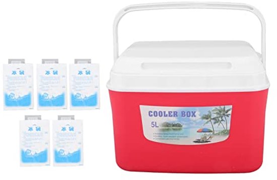 Warmere Koelbox 5L voor Reis, Lunchen en Activiteiten - Isolerende Koelkastdoos met Handvat