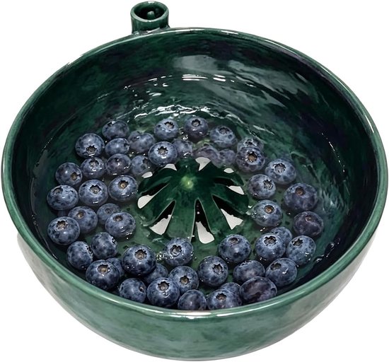 Zelfdraaiende Waskom - Fruitwasser Spinner - Snel Groenten Wassen - 360 Graden Wastechnologie - 15 x 15 x 8 cm