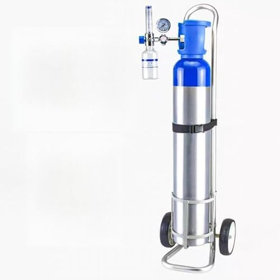 Zuurstoffleshouder - Mobiele houder - Veilige opslag - Verstelbare ketting - 105 cm hoogte - Zwart